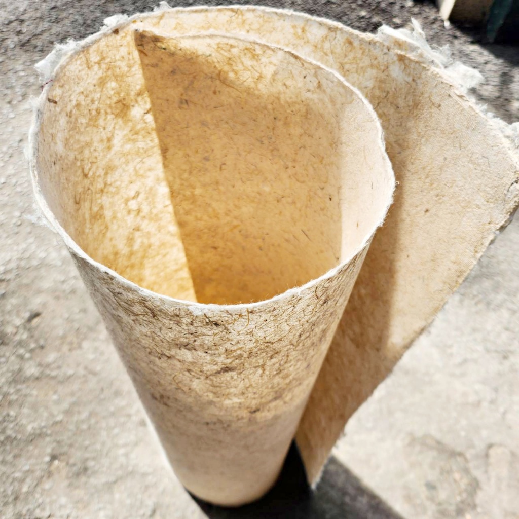 กระดาษเยื่อข้าวโพด PAPA PAPER ลดการเผาเปลือกข้าวโพด - รูปที่ 2