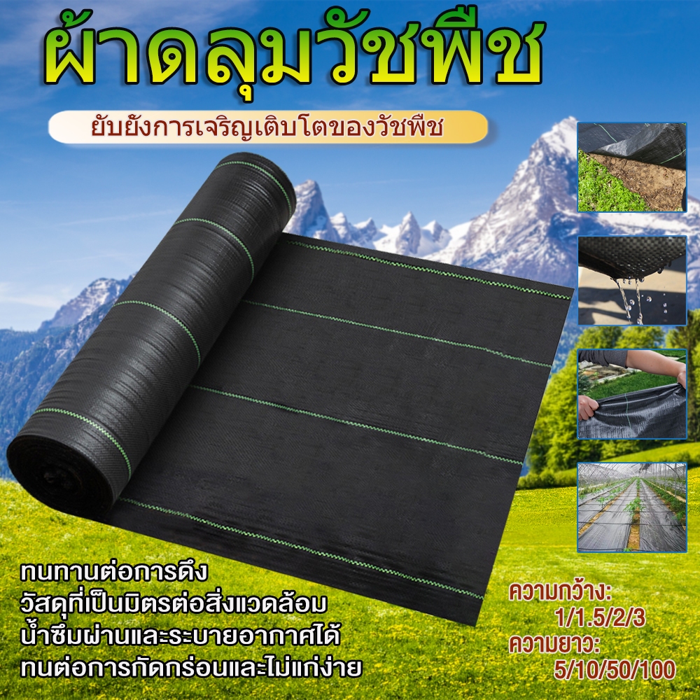 พลาสติกคลุมดิน ผ้าคลุมดิน ผ้าคลุมหญ้า ฆ่าหญ้า ขนาด1x5 1×50 1.5×50 2×5 2×10 3×10พลาสติกคลุมวัชพืช พลาสติกคลุมหญ้า