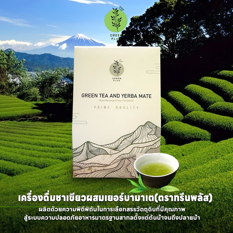 ชาเขียวและเยอบามาเต (กรีนพลัส)
