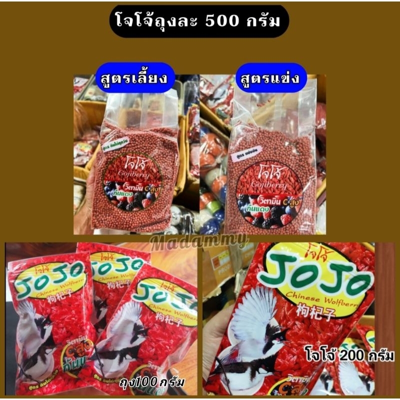 โจโจ้ Jojo {ครบสูตร} เลี้ยง'แข่ง'ถ่ายขน