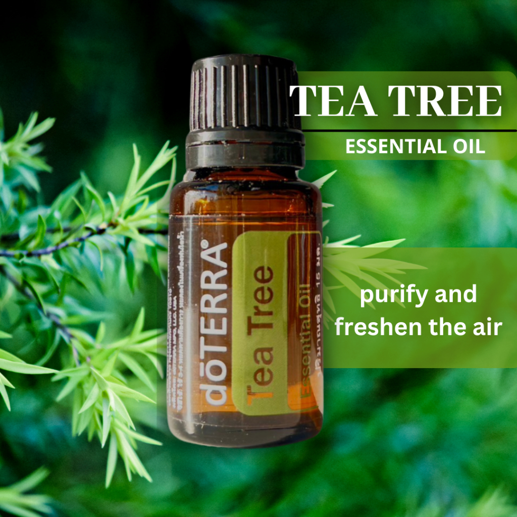 Buy 1 Get 1 Free! น้ำมันหอมระเหย โดเทอร์ร่า ที ทรี ออยล์ doTERRA Tea Tree Essential Oil