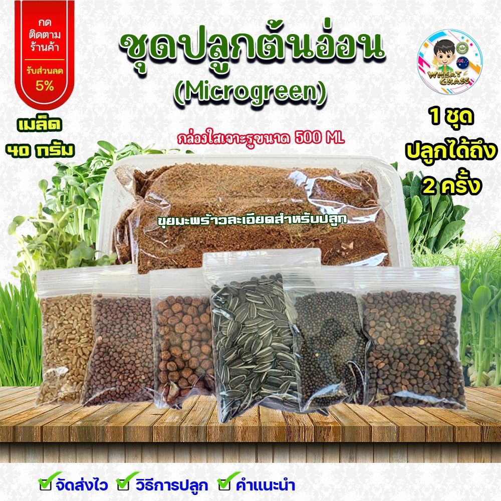 ชุดปลูกต้นอ่อนไมโครกรีน (Microgreen) ต้นอ่อนทานตะวัน ต้นอ่อนบุ้งเรียวไผ่ ต้อนอ่อนไควาเระ ต้นอ่อนโตเหมี่ยว ต้นอ่อนคะน้า