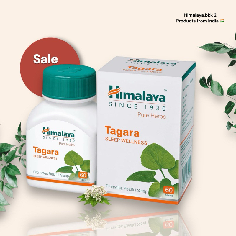 Himalaya Tagara 60 table