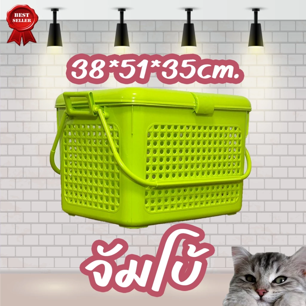 ตะกร้าพลาสติกอเนกประสงค์ เตรียมคลอดหรือใส่สัตว์ แมว,สุนัข สีพาสเทลมีฝาล็อคมีรูมีหูหิ้ว thumbnail 8