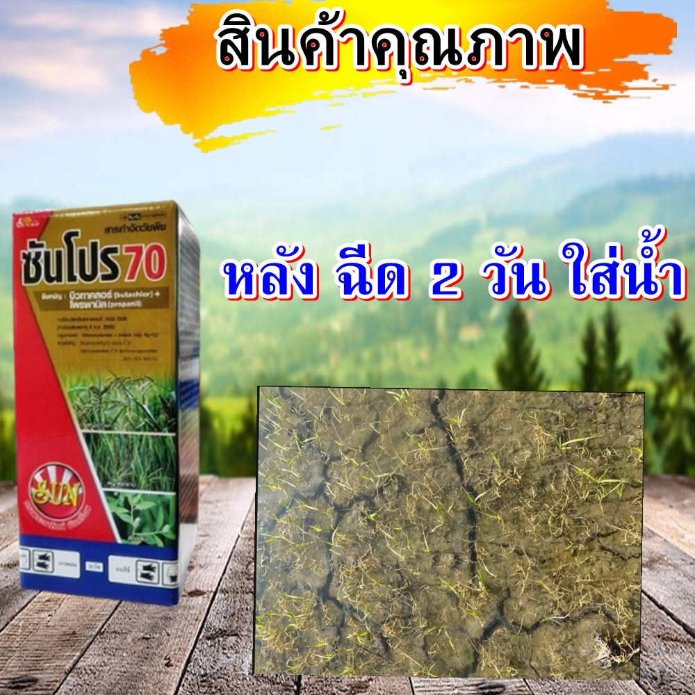 ซันโปร70 ขนาด 1 ลิตร  (บิวทาคลอ+โพรพานิล)เนื้อพรีเมียม คุม-ฆ่า วัชพืชในนาข้าวหว่านน้ำตม 7-15 วัน - รูปที่ 2