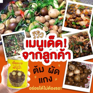 พร้อมส่ง เห็ดเผาะ เห็ดถอบ เห็ดถอบกระป๋อง เห็บถอบในน้ำเกลือตราภูเขา คัดอ่อนพิเศษ ขนาด 500 กรัม