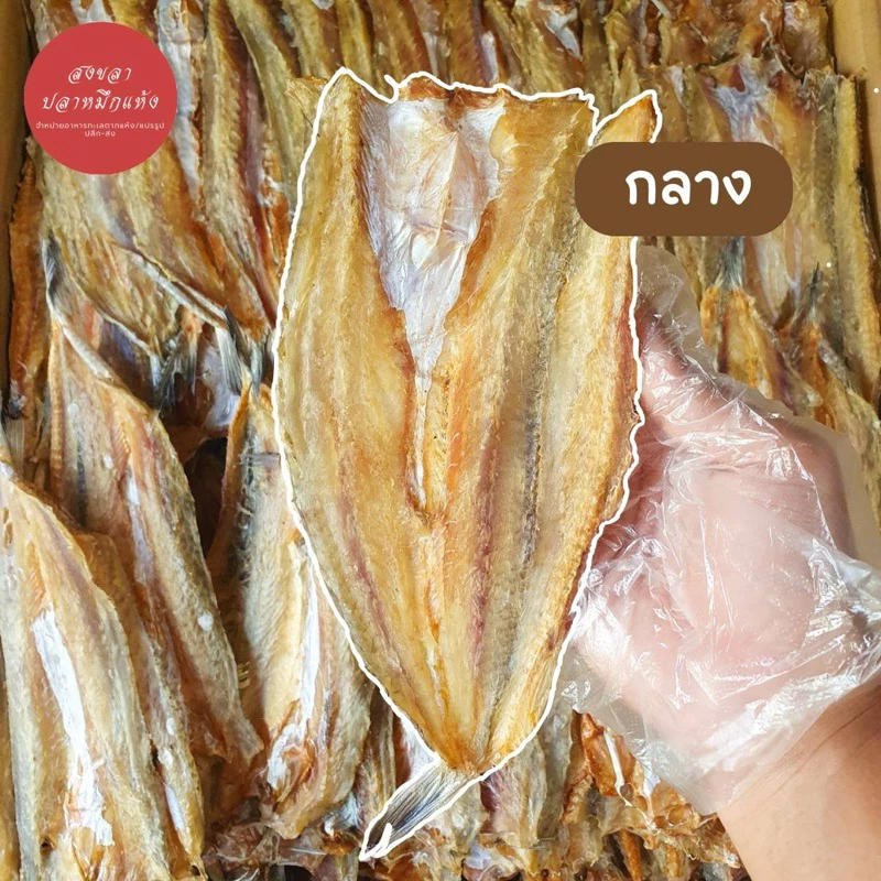 ปลาแห้ง ปลาจิ๊กโก๋ ปลาช่อนทะเลแห้ง 1 กิโลกรัม ขนาดกลาง สะอาด สดใหม่ ส่งไว