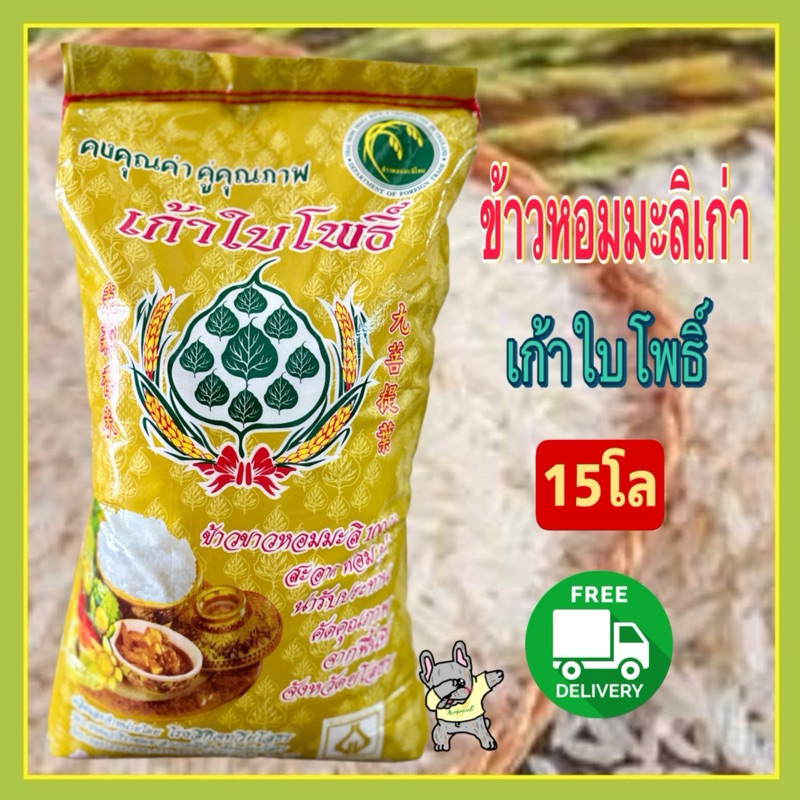 ข้าวหอมมะลิเก่า ถุง 15 กก. ตรา 9 ใบโพธิ์