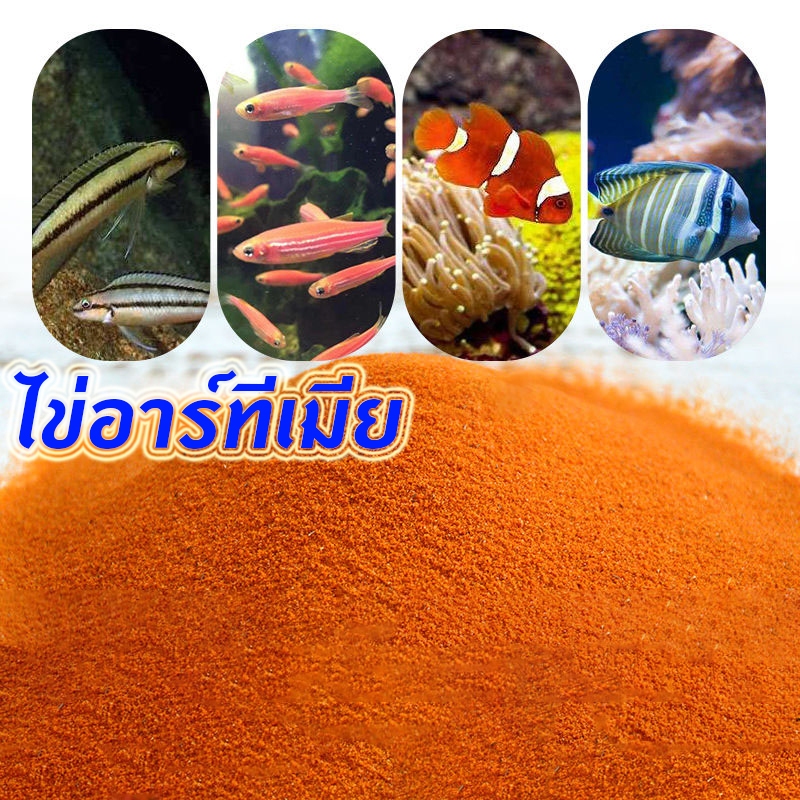 ไข่อาร์ทีเมีย อาหารปลา ป้อนได้โดยตรง สำหรับ ปลากัด ลูกปลากัด ลูกปลาแรกเกิด