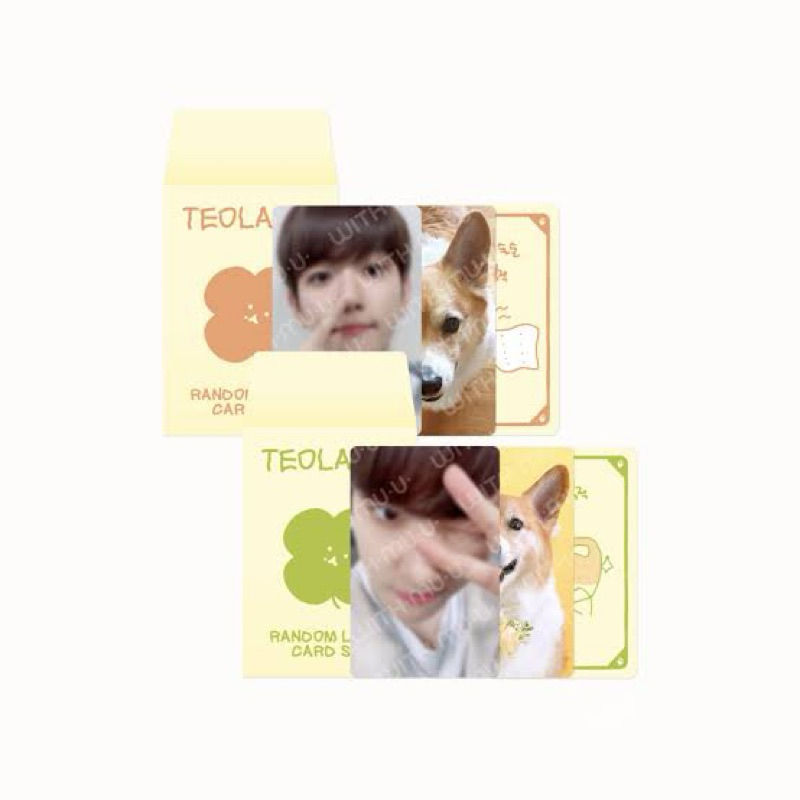 (พร้อมส่ง✨) LUCKY CARD SET - TEOLAEGI