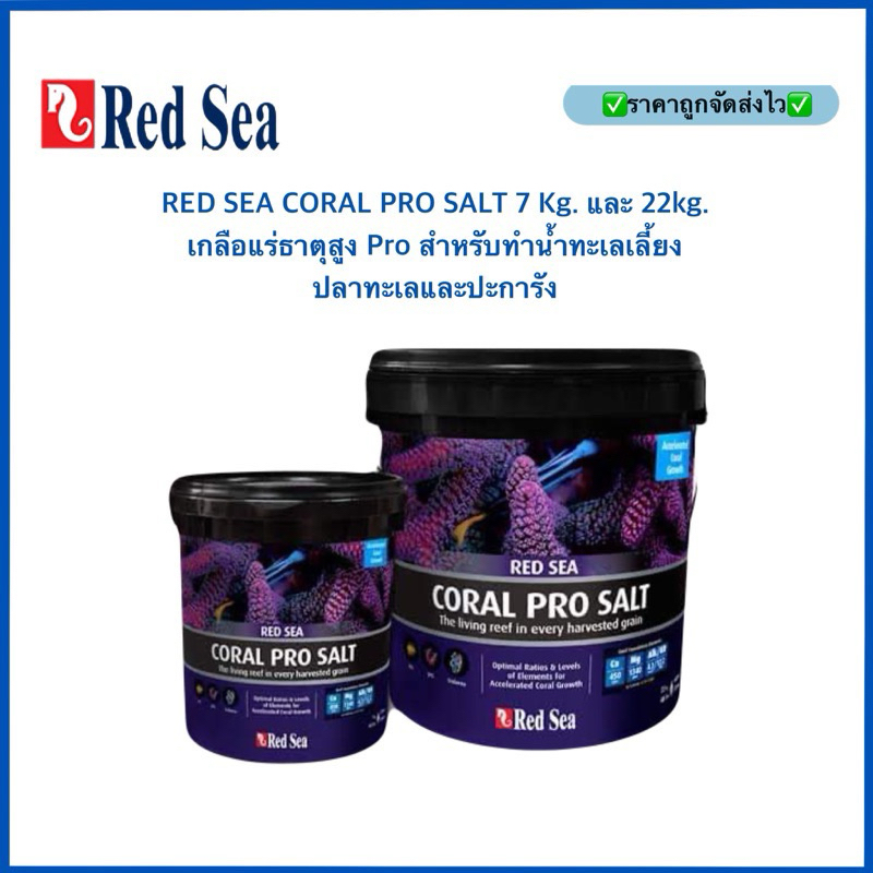 RED SEA CORAL PRO SALT 7 Kg. 22Kg. เกลือแร่ธาตุสูง Pro สำหรับทำน้ำทะเลเลี้ยงปลาทะเลและปะการัง ทำน้ำไ