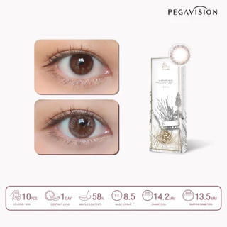 PEGAVISION คอนแทคเลนส์สี รายวัน รุ่น KAORI สี Rosemary Brown (10 เลนส์/กล่อง)