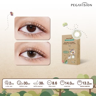 PEGAVISION คอนแทคเลนส์สี รายเดือน รุ่น Forest Miracle สี Balsam Green (2 เลนส์/กล่อง)