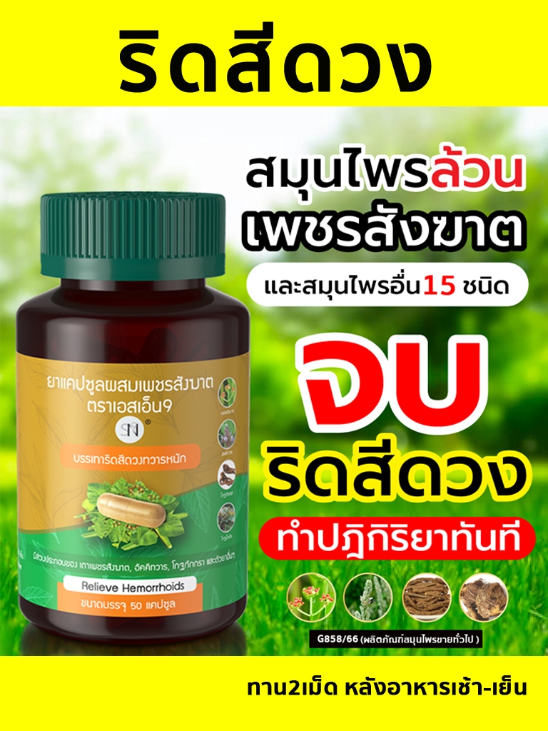 ( ช่องหลักบริษัท ) เพชรสังฆาต ริดสีดวง สมุนไพรเพชรสังฆาต Hemorrhoids ยาแคปซูลผสมเพชรสังฆาตตราเอสเอ็น9 อัคคีทวาร สมุนไพร