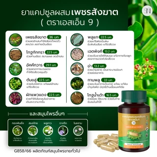 ❌ 6แถม3ช่องบริษัท❌️ เพชรสังฆาต ริดสีดวง สมุนไพรเพชรสังฆาต Hemorrhoids ยาแคปซูลผสมเพชรสังฆาตตราเอสเอ็น9