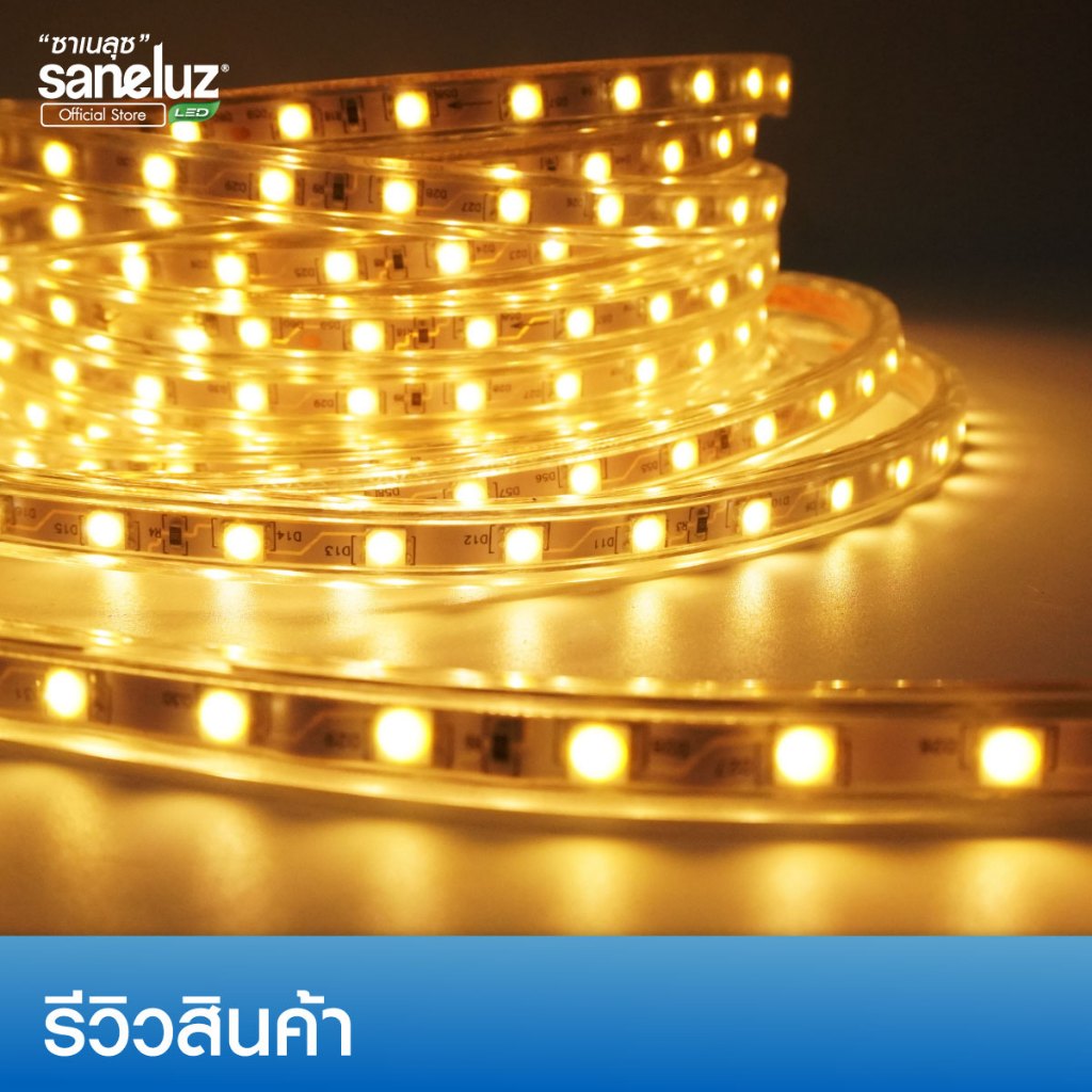 ไฟเส้น LED SMD ขนาด 3 / 5 /10 เมตร พร้อมปลั๊กเสียบใช้งานไฟบ้าน AC220V ไฟท่อ ไฟประดับ ไฟตกแต่ง ไฟเส้นสายยางกันน้ำ led