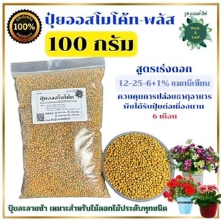 ออสโมโค้ท พลัส สูตร 12-25-6 ใส่เพียงครั้งเดียว พืชได้รับปุ๋ยต่อเนื่องนาน 6 เดือน สูตรเร่งดอกโรยเม็ดที่โรยรอบโคนต้น