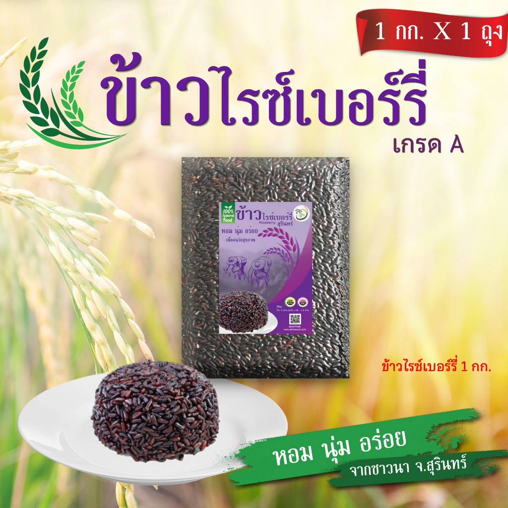 ข้าวไรซ์เบอร์รี่ สุรินทร์ เกรด A (ขนาด 1 กก.)