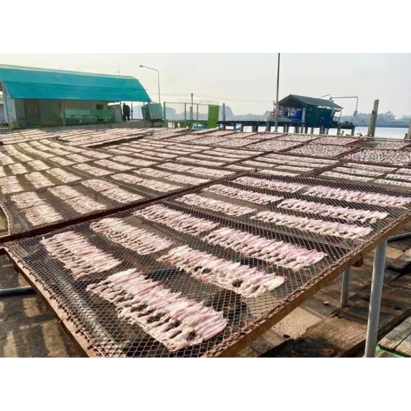 หมึกแห้ง ประสบการณ์กว่า40ปี ตากเองที่บ้าน มีหลากหลายชนิด
