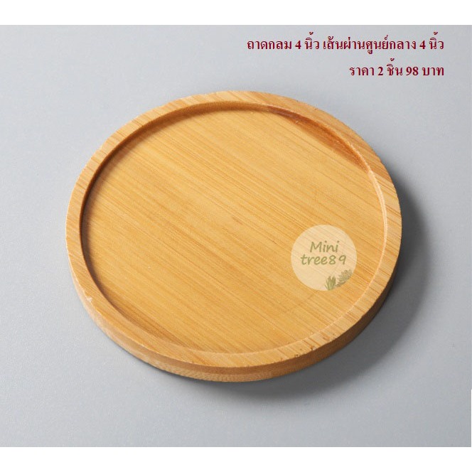 ถาดรองไม้ สีครีม ถาดเปล่า (ขนาด 3นิ้ว หรือ 8 เซนติเมตร) จ.น 3 ชิ้น เเละ 9เซ็น มีหลายขนาดหลายตัวเลือกด้านใน minitree89🌵🪴 - รูปที่ 5