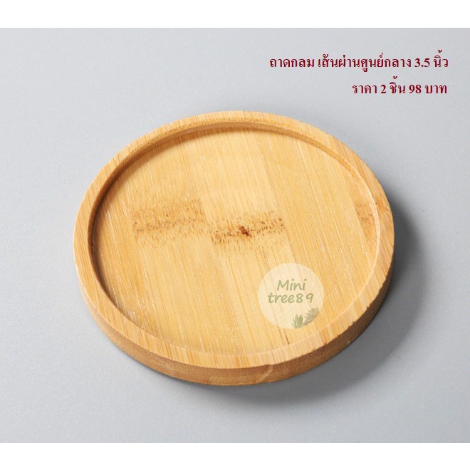 ถาดรองไม้ สีครีม ถาดเปล่า (ขนาด 3นิ้ว หรือ 8 เซนติเมตร) จ.น 3 ชิ้น เเละ 9เซ็น มีหลายขนาดหลายตัวเลือกด้านใน minitree89🌵🪴 - รูปที่ 6