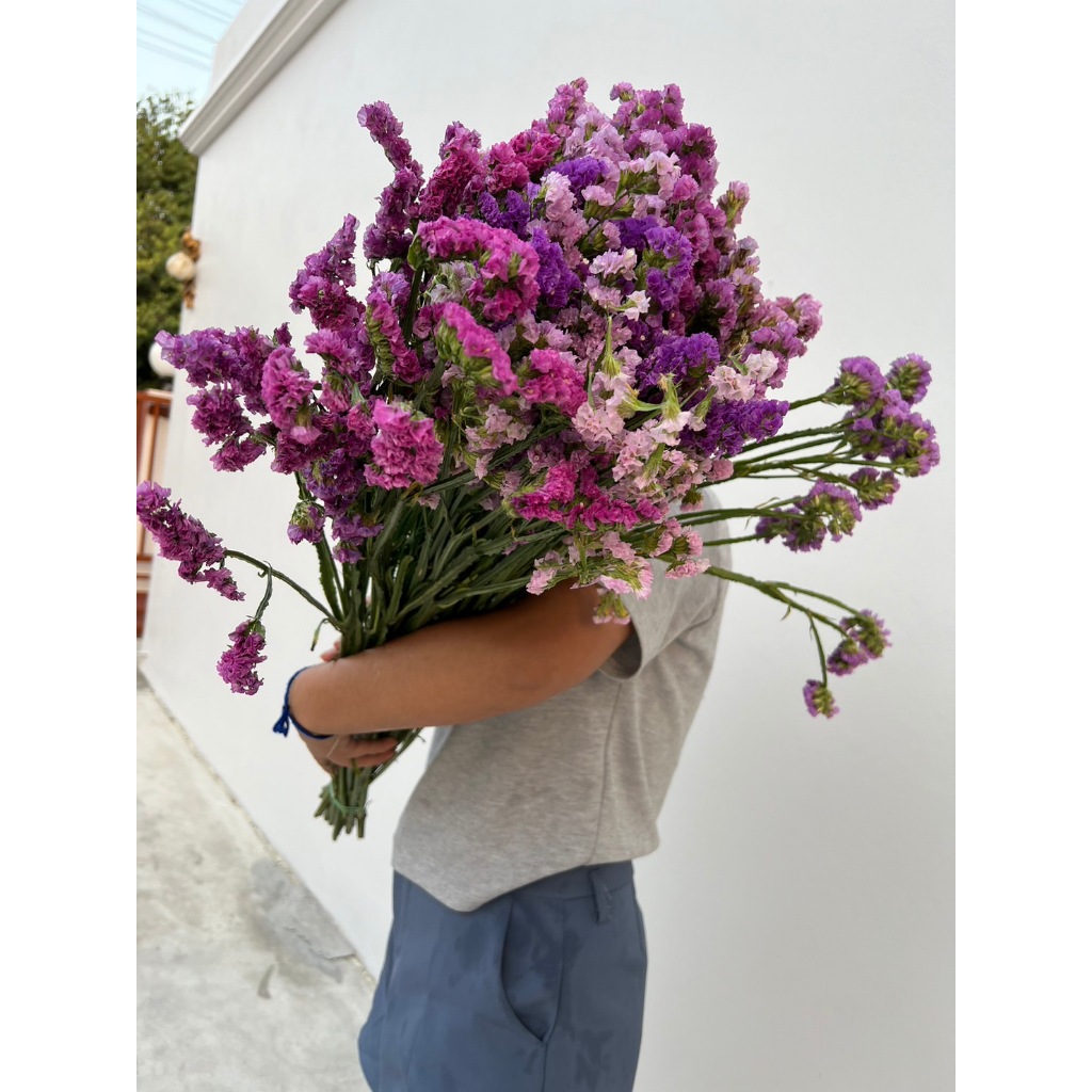 -คละสี-ช่อดอกสแตติสอบแห้งสวยๆ ดอกไมจริง *ช่อใหญ่*10-12 กอ เก็บไว้ได้นาน จัดช่อ ปัจฉิม วาเลนไทน์   ช่อดอกไม้ สวยมาก