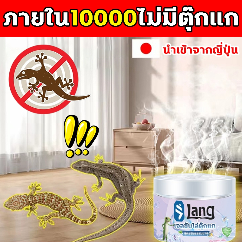 🦎10ปีไม่มีตุ๊กแก🦎XHS ยาไล่จิ้งจก ยากําจัดจิ้งจก ยากำจัดตุ๊กแก ไล่ตุ๊กแกด้วยพืช ใช้ในหลายสถานที่ ยาฆ่าตุ๊กแก 100g