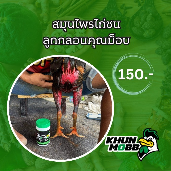 ยาไก่ สมุนไพรบำรุงไก่ชน คุณม็อบ ยาไก่ชน ชุดเลี้ยงไก่ชน บำรุงไก่ชน