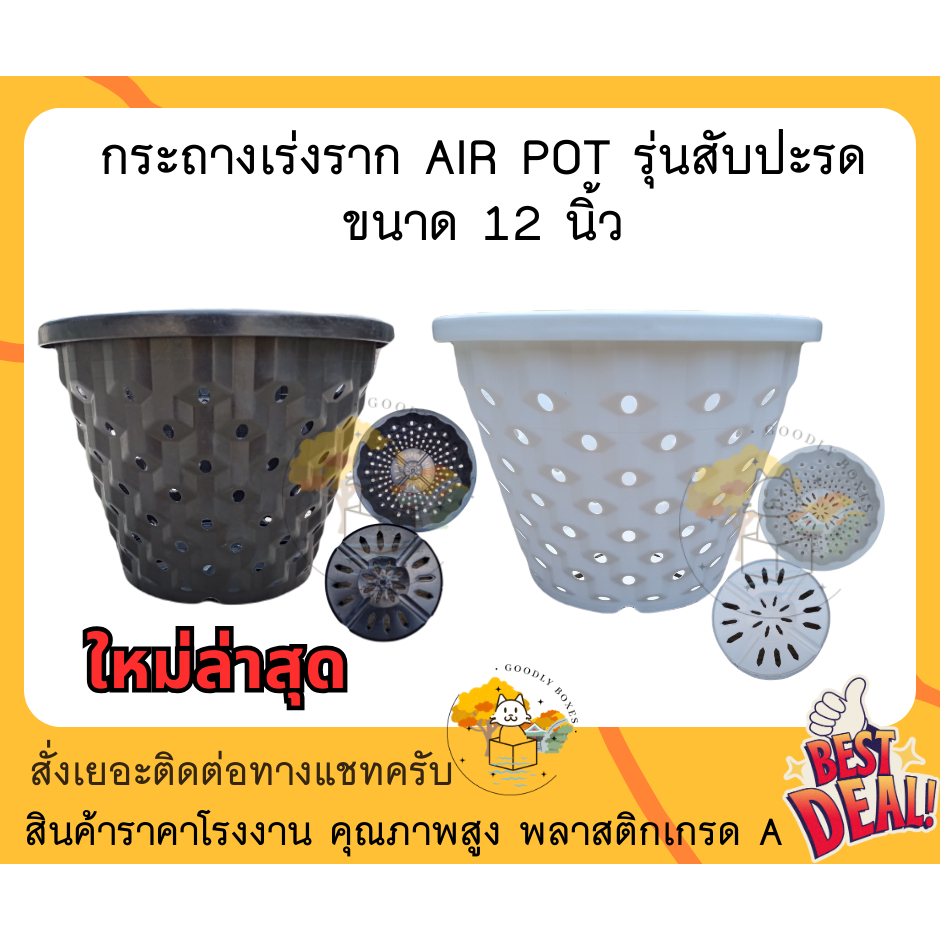 กระถางเร่งราก AIRPOT ขนาด 12 นิ้ว ลายสับปะรด (มีส่วนลดและของแถม)