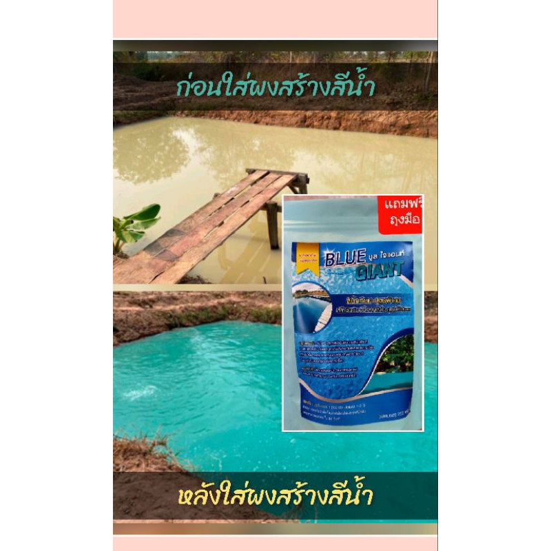 สีน้ำเทียมวิทยาศาสตร์ ให้สีเข้มใส่น้อยสีน้ำสวยที่คาเฟ่ส่วนใหญ่เลือกใช้ ปลอดภัยต่อสัตว์น้ำ1ซอง250กรัมใช้ได้1-2ไร่