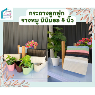 กระถางลายลูกฟูก น่ารัก มินิมอล 4นิ้วรางหมู