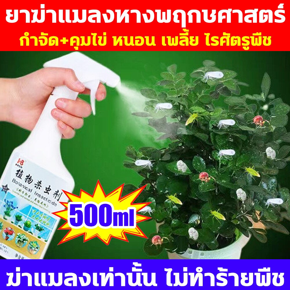 กำจัดเพลี้ยหอย100% ยาฆ่าแมลง ยากำจัดแมลงพืช ยากำจัดแมลง ยาฆ่าแมลงกินใบยาฆ่าเพลี้ย แมลงหวี่ขาว ไทอะมีทอกแซมอะซีทามิพริด