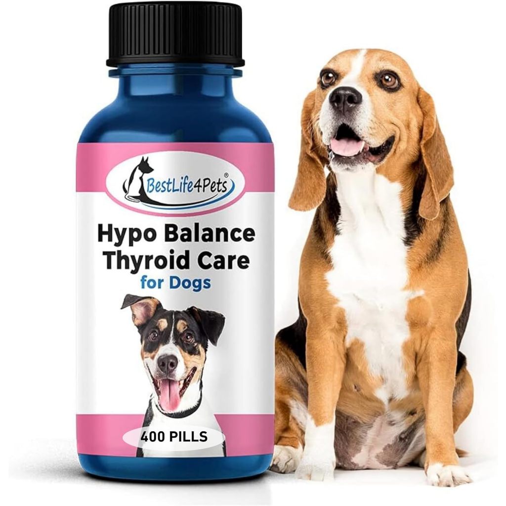 Dog Hypo-Balance Thyroid Dog อาหารเสริมสุนัข ดูแลต่อมไทรอยด์ สมดุลฮอร์โมน ผลิตอเมริกา
