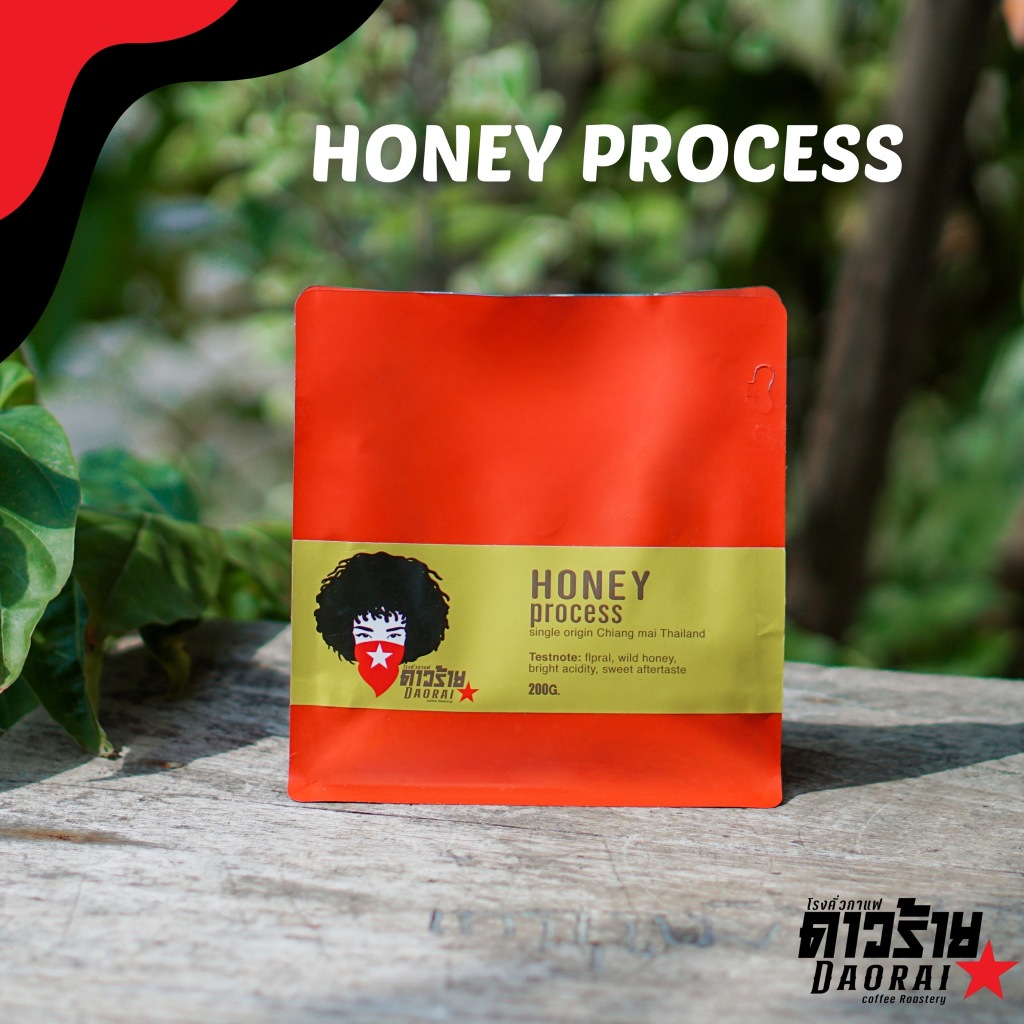 Honey Process (Special Process) (omni roast)