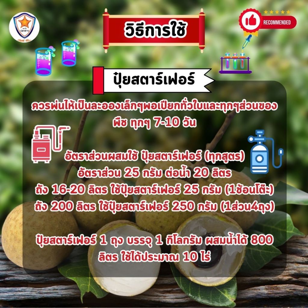 ปุ๋ยลำไย สตาร์เฟอร์ 3 สูตร ครบทุกความต้องการสำหรับต้นลำไย เร่งโต ใบเขียว เร่งราก เร่งดอก ผลใหญ่ ดกเต็มต้น ราคา ถูกที่สุด ดีลบีเคเค แกลเลอรีภาพที่ 5