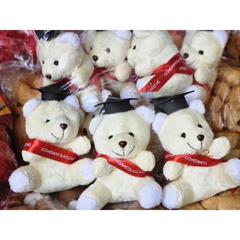 ตุ๊กตาหมีปริญญา  หมีจัดช่อปัจฉิม  ยกโหล12ตัว ใส่ชุดบัณฑิต สายสะพาย ขนาด7-9นิ้ว นำไปจัดช่อปัจฉิม คุ้มมากค่ะ