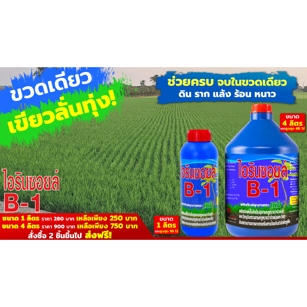 ขวดเดียว เขียวลั่นทุ่ง ไอริน ซอยล์ บี 1