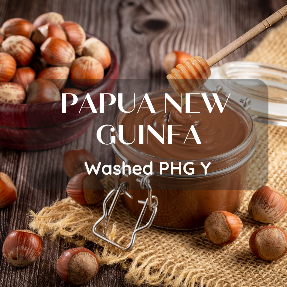 สารเมล็ดกาแฟ Papua New Guinea Washed PNG Y 1000g