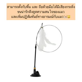 PP-801 ไม้ตกแมว ขนนกติดพื้น มีกระดิ่ง เสียงกรุ๊งกริ๊งน่ารัก 💕 ตั้งพื้นได้ ดูดสุญญากาศแน่นหนึบ ถอดเก็บง่าย พร้อมส่ง
