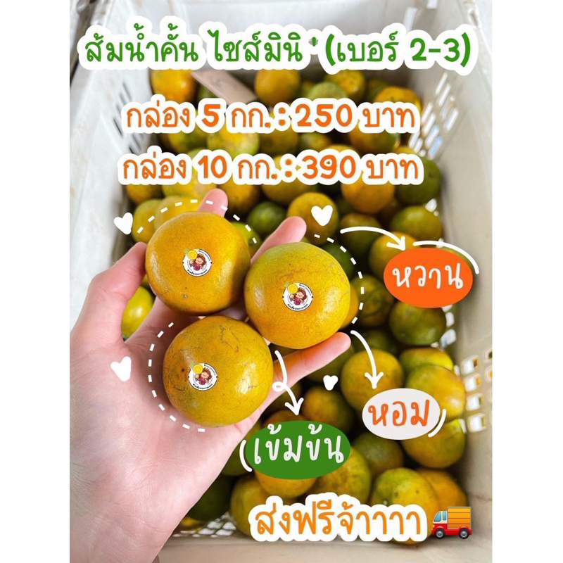 ส้มผิวลายไซส์2-3 มินิไซส์สำหรับคั้นน้ำส้ม5kg