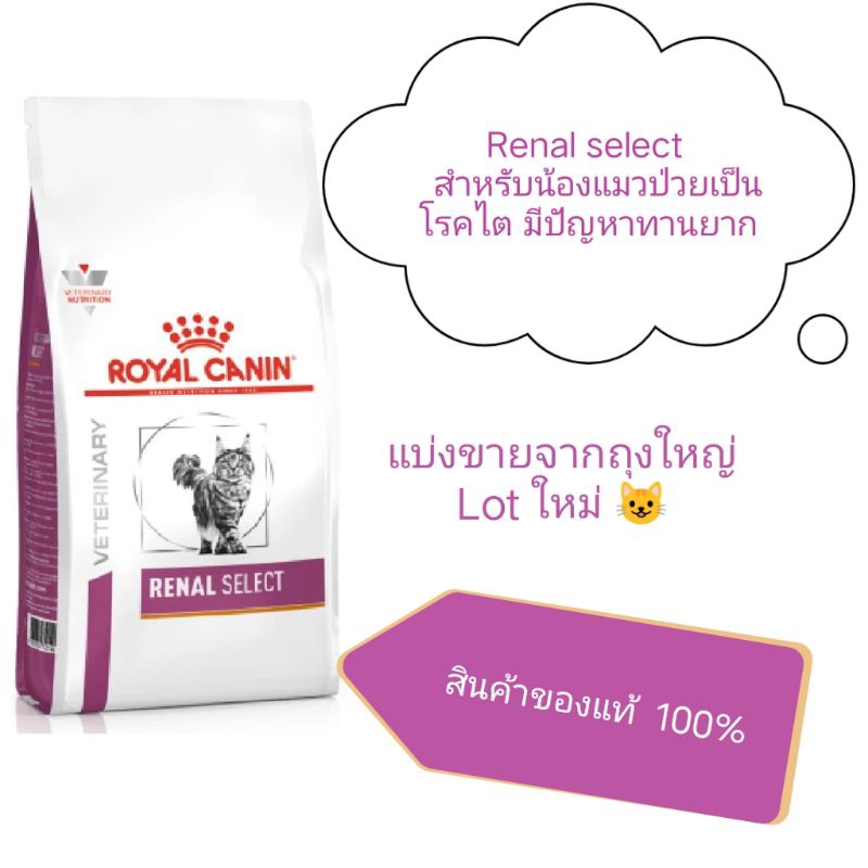 Royal canin  Renal select แมวเป็นโรคไต กินยาก