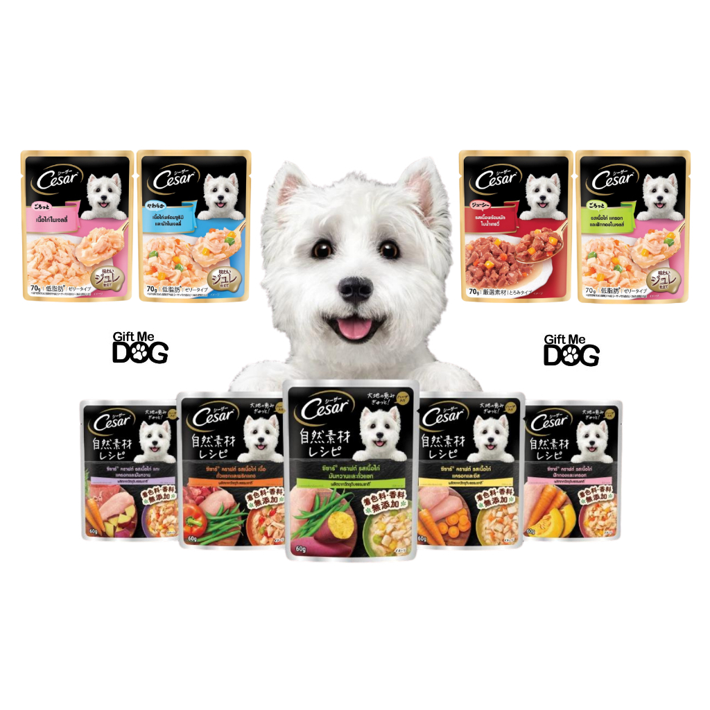 Cesar Pouch ซีซาร์ อาหารเปียกสำหรับสุนัข ยกโหลx16ซอง