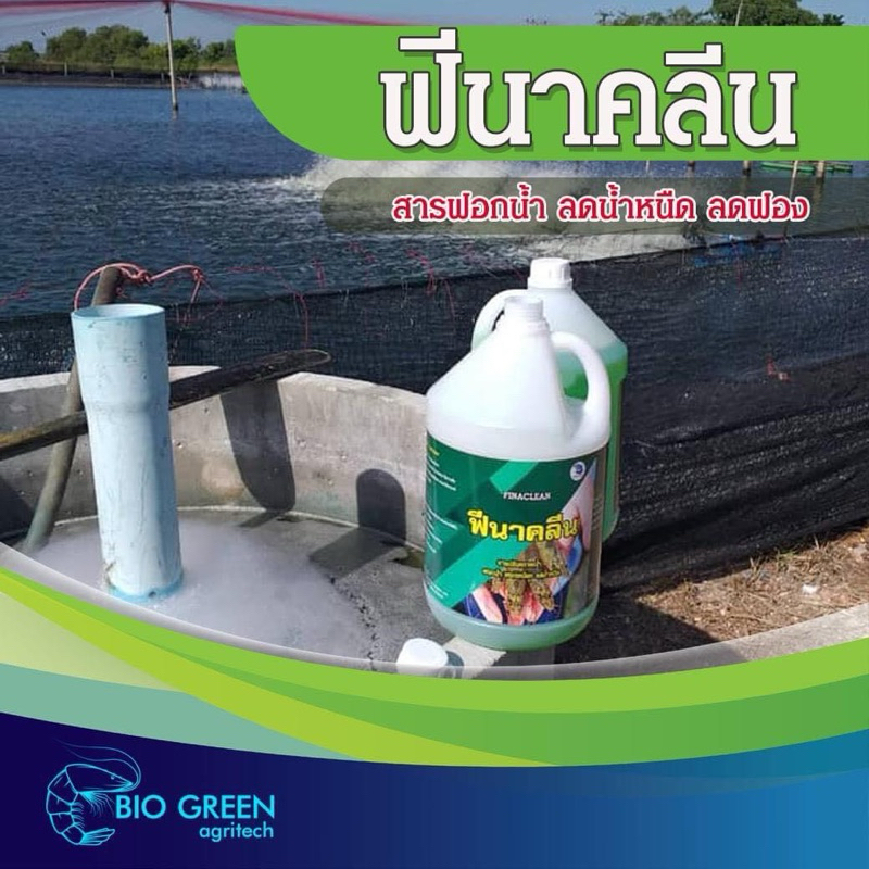 ฟีน่าคลีน 4 L สารฟอกน้ำ ลดน้ำหนืด น้ำข้น น้ำเป็นฟอง  ฟอกเหงือก ลดแพลงก์ตอนเข้าเหงือก ฟอกตัว ในบ่อกุ้ง