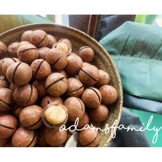 แมคคาเดเมีย อบธรรมชาติ/อบเนย จัมโบ้ ร่องห่างแกะง่าย