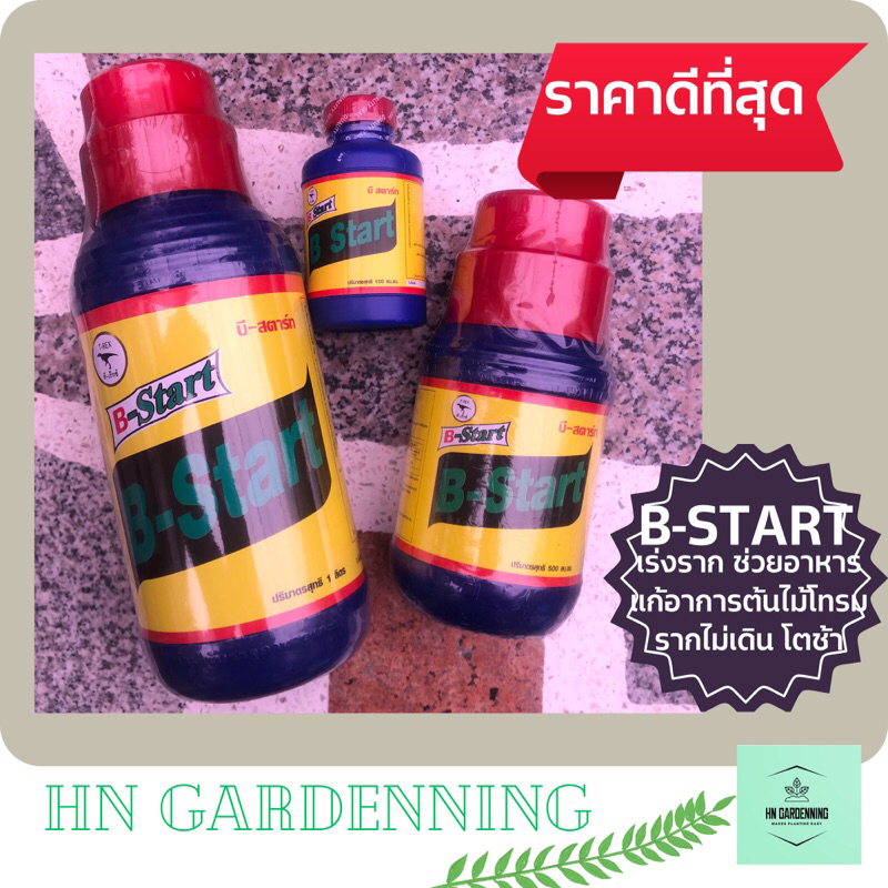 B Start (B1) ช่วยในการเร่งราก แตกราก แก้ต้นไม้โทรม สำหรับกิ่งชำ กิ่งตอน และต้นไม้ปลูกใหม่