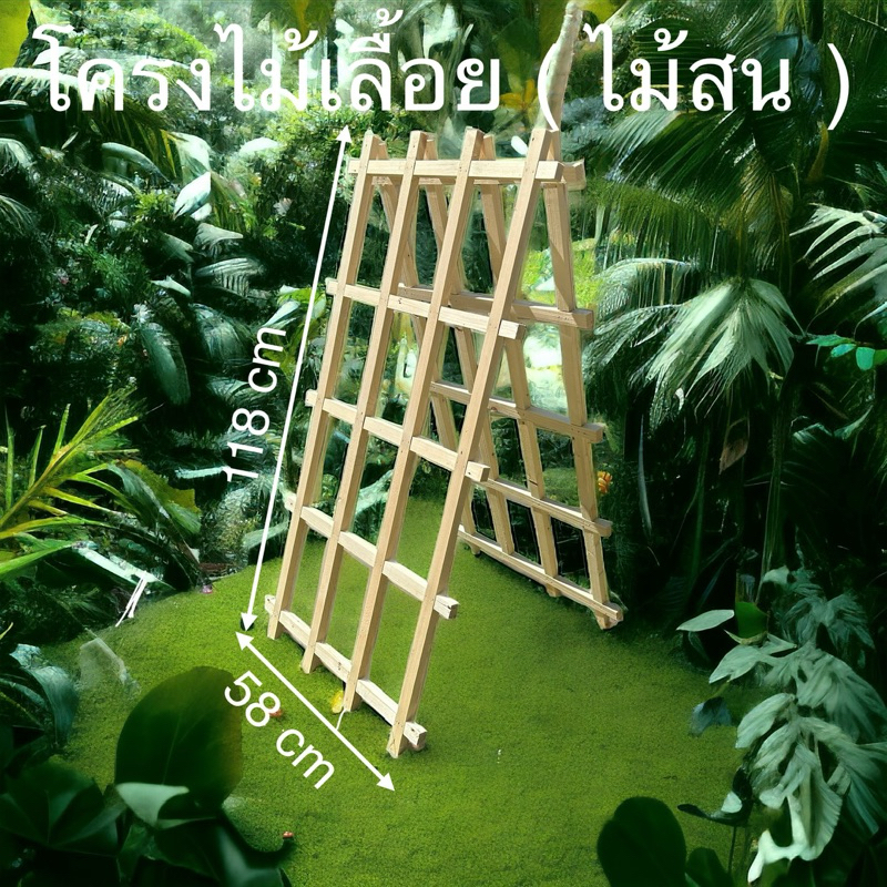 โครงไม้เลื้อย ( ไม้สน ) กว้าง 58 cm สุง 118 cm ( แพคคู่ )
