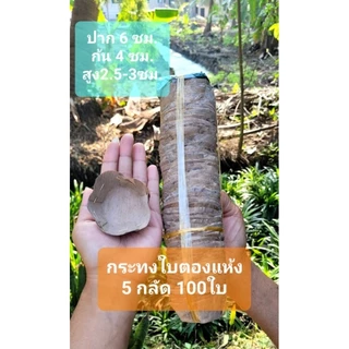 《พร้อมส่ง》กระทงใบตองแห้ง 5กลัด 100ใบ
