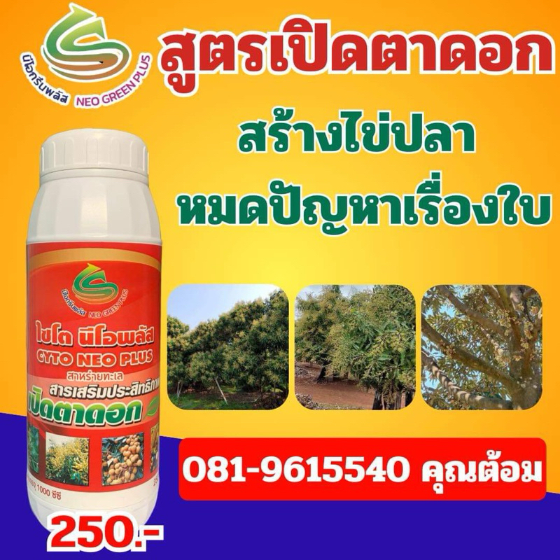 เปิดตาดอก ไซโตนีโอพลัส สูตรสั่งดอก ออกดอกง่าย ออกดอกเร็วสร้างไข่ปลาหมดปัญหาเรื่องใบบรรจุ 1000 ซีซี