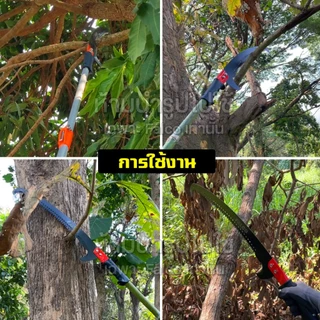 FALCO เลื่อยโค้งตัดกิ่งไม้ 2 ตะขอ เคลือบเทฟล่อน พร้อมปลอกเลื่อย 17นิ้ว ต่อด้ามได้