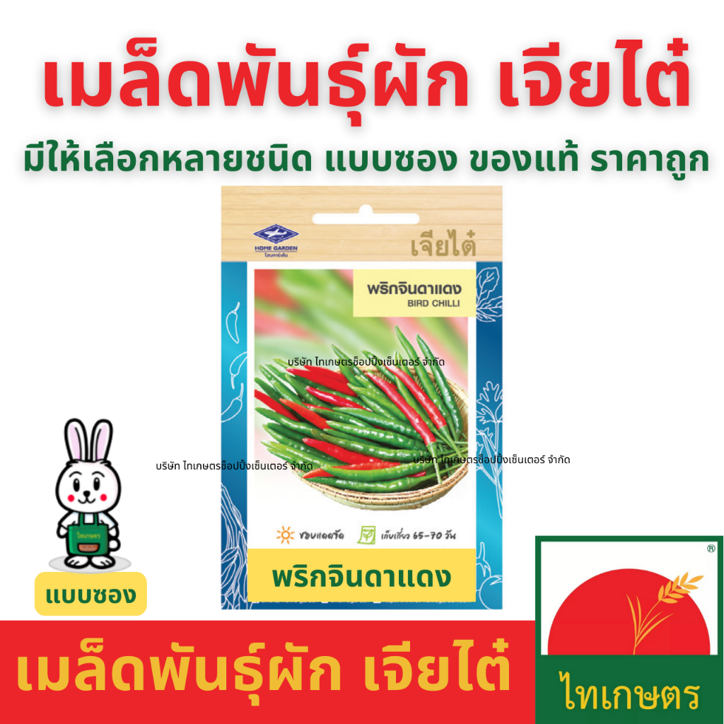 เมล็ดผัก เจียไต๋ เมล็ดพันธุ์ ผักซอง ผักบุ้ง ผักกาดขาว คะน้า กะเพรา คื่นช่าย ผักชี แตงกวา พริก ถั่ว ราคา ถูกที่สุด ดีลบีเคเค แกลเลอรีภาพที่ 4